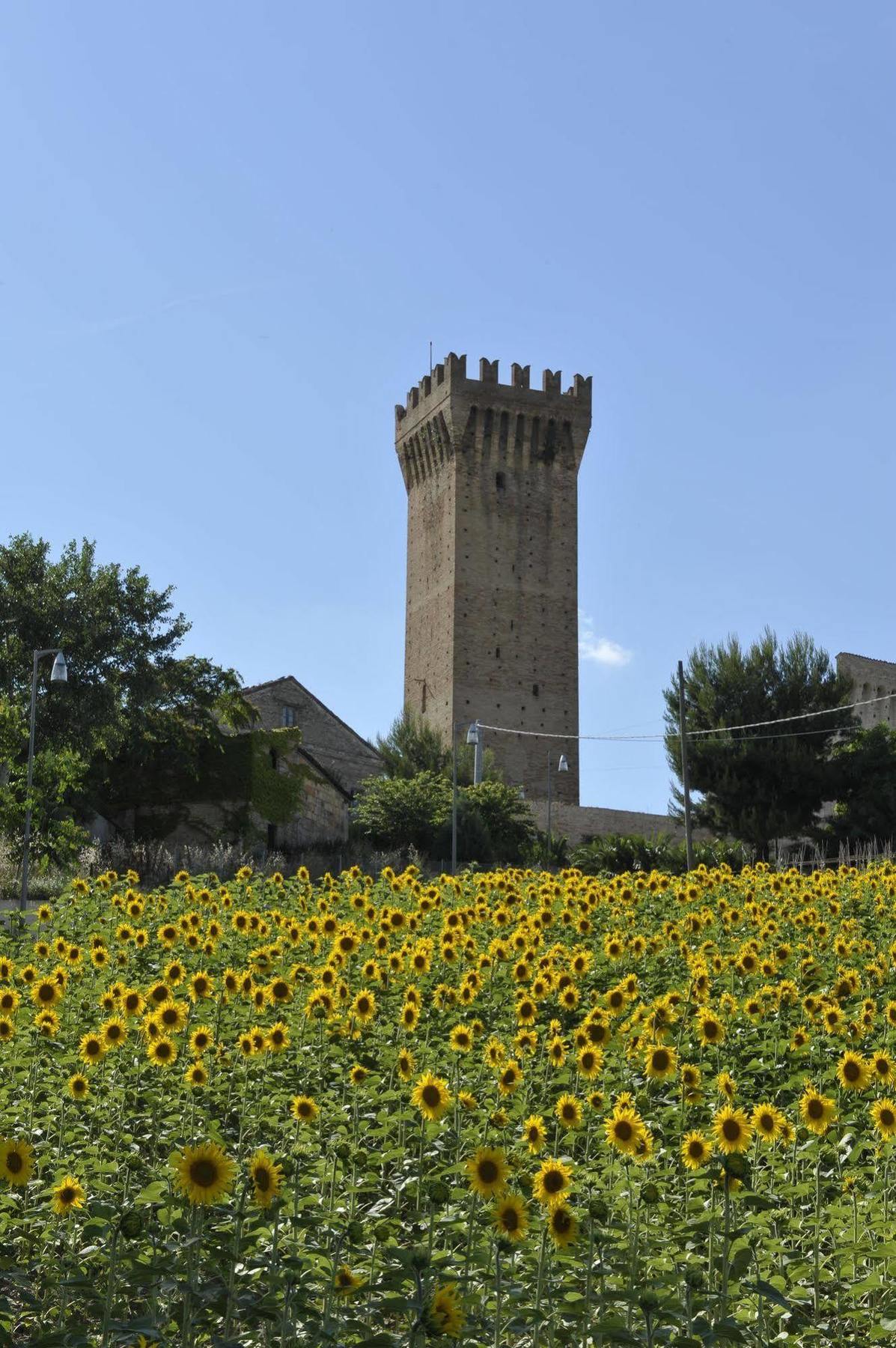 Agriturismo Al Crepuscolo Villa Recanati Exterior photo