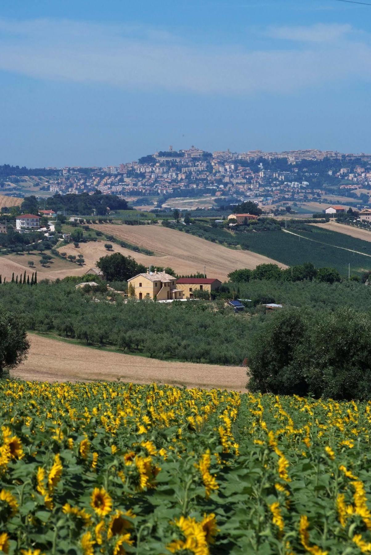 Agriturismo Al Crepuscolo Villa Recanati Exterior photo