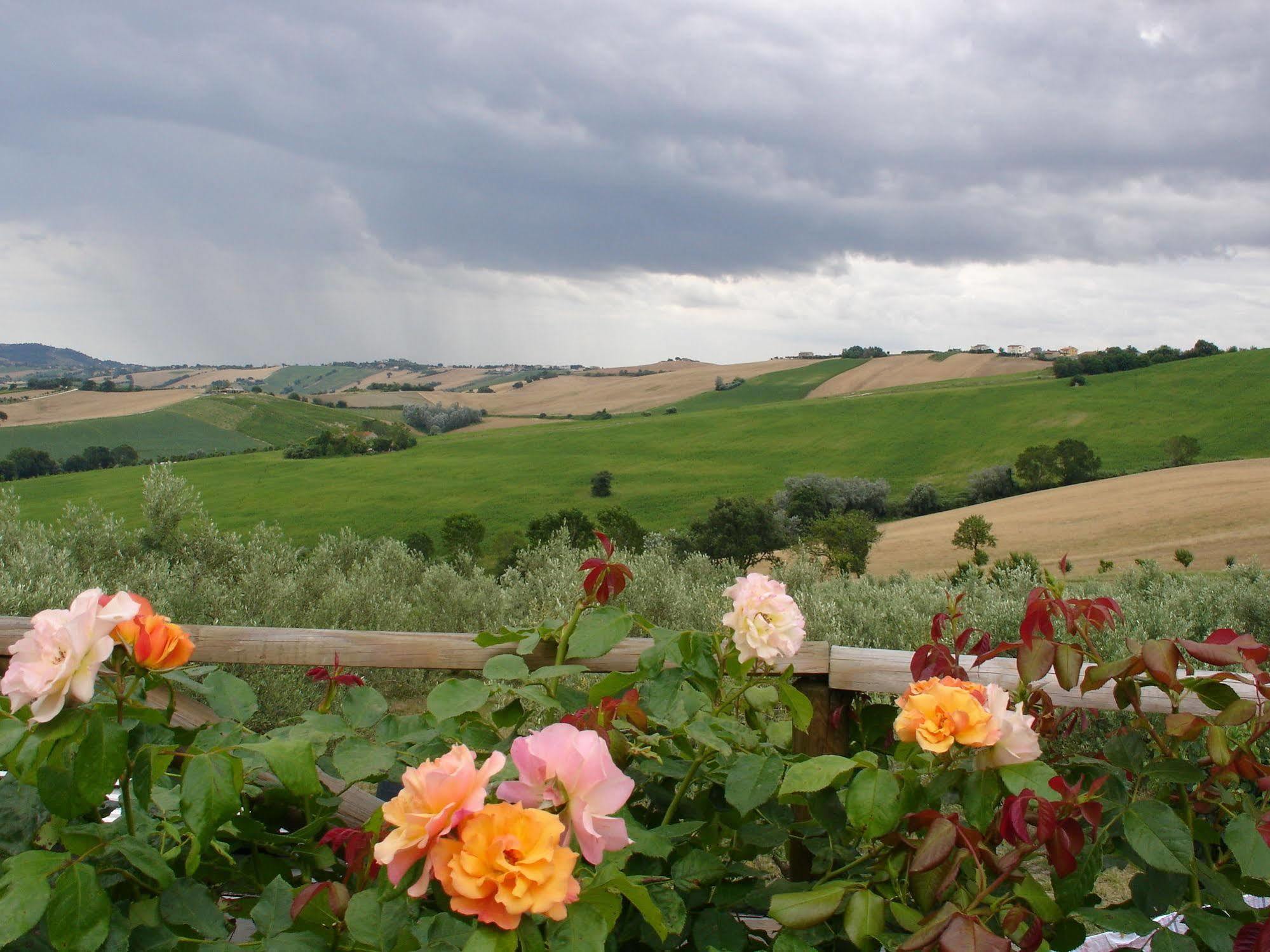 Agriturismo Al Crepuscolo Villa Recanati Exterior photo